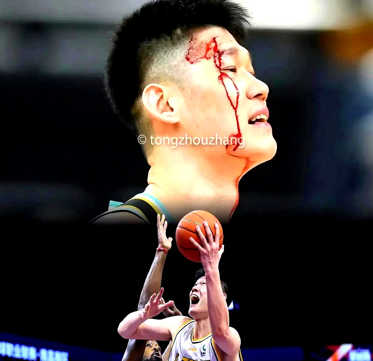 中国男篮常规赛积分榜